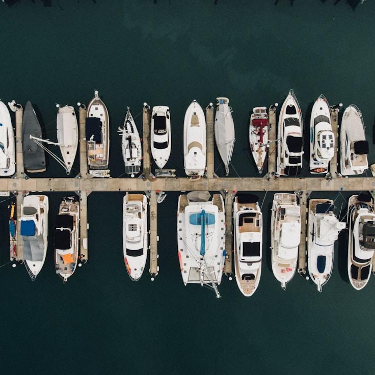 Marine escapade